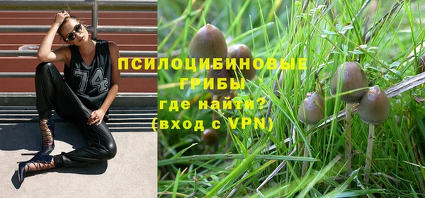 прущие крисы Богородицк