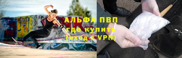 мдпв Богданович