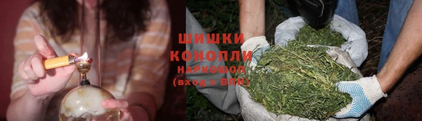 стаф Богородск