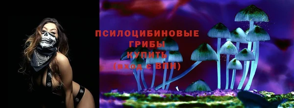 прущие крисы Богородицк