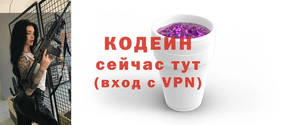 мдпв Богданович