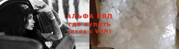 стаф Богородск
