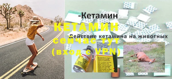 стаф Богородск