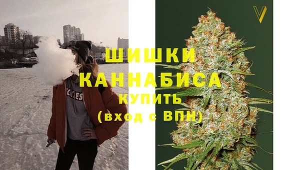 стаф Богородск