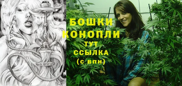 стаф Богородск