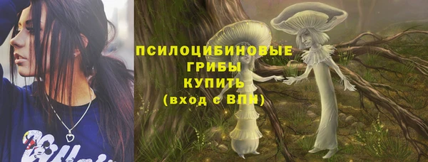 прущие крисы Богородицк