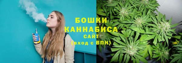 стаф Богородск
